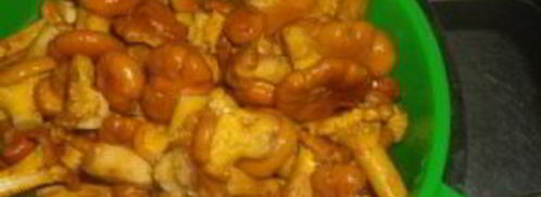 маринованные лисички с чесноком. Шаг 4