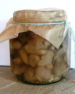 Маринованные маслята в собственном соку