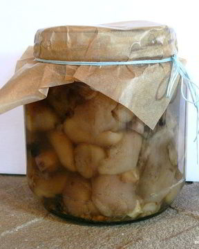 Маринованные маслята в собственном соку