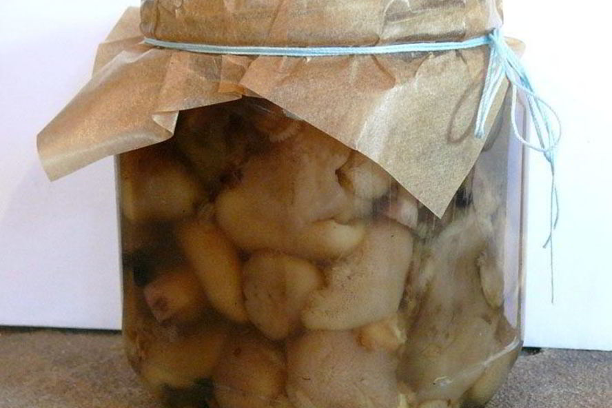 Рецепт маринованных маслят в собственном соку