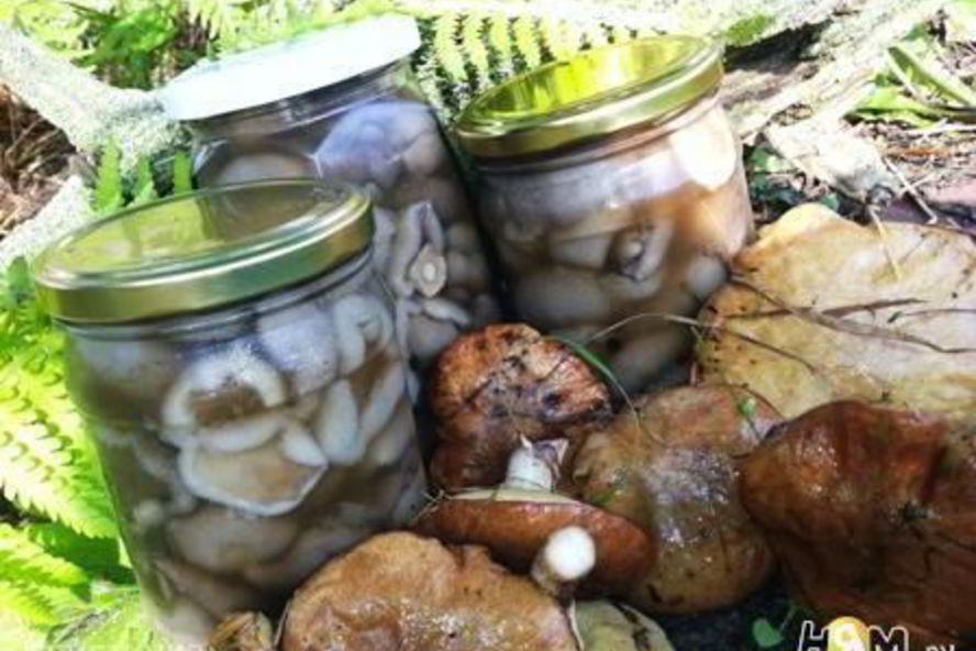 Рецепт маринованных маслят