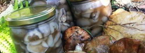 маринованные маслята. Шаг 8