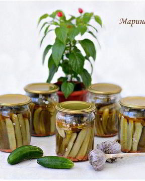 Маринованные огурчики в собственном соку