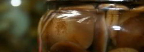 маринованные опята с корицей. Шаг 3