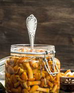 Маринованные опята