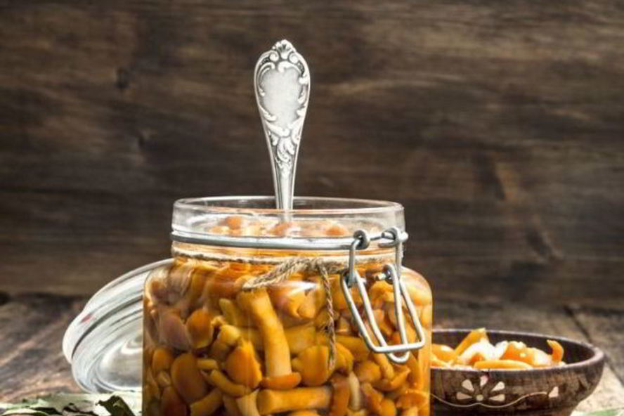 Рецепт маринованных опят