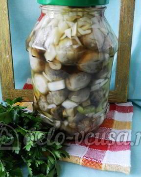 Маринованные шампиньоны на зиму