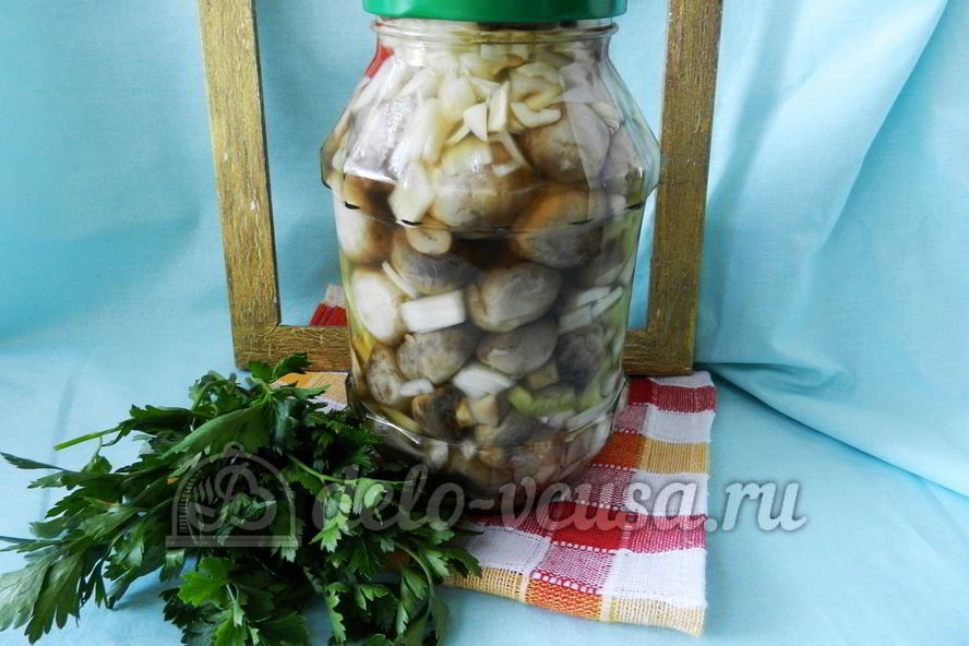 Рецепт маринованных шампиньонов на зиму