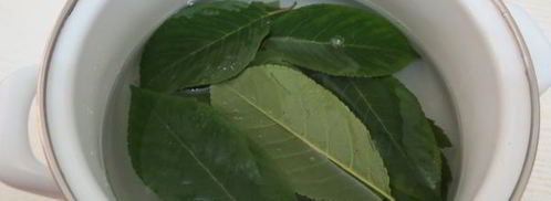 огурцы, маринованные по-польски. Шаг 6