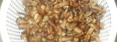 опята маринованные. Шаг 3