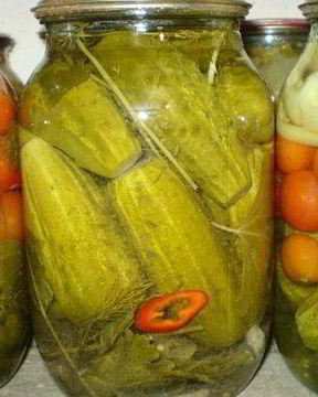 Острые маринованные огурчики на зиму