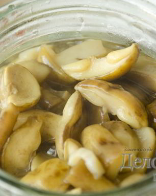 Польские грибы маринованные