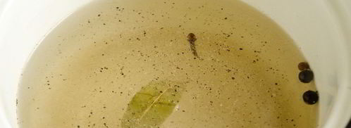 польские грибы маринованные. Шаг 2