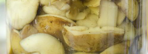 польские грибы маринованные. Шаг 7