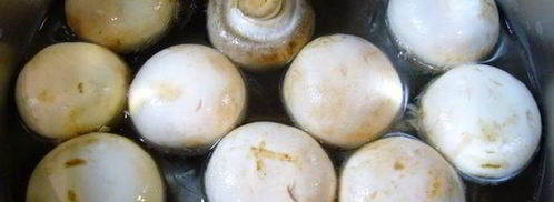 шампиньоны маринованные. Шаг 2