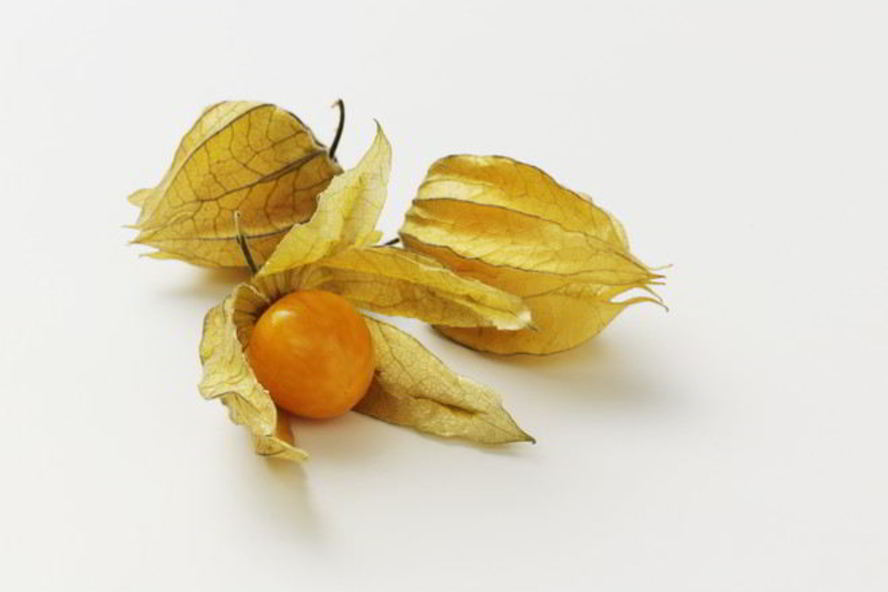 Рецепт овощного физалиса на зиму