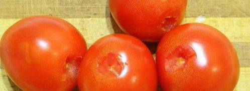 помидоры, квашенные с чесноком и зеленью. Шаг 5