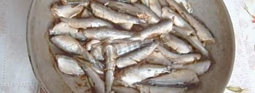 шпроты из кильки домашние на зиму. Шаг 7