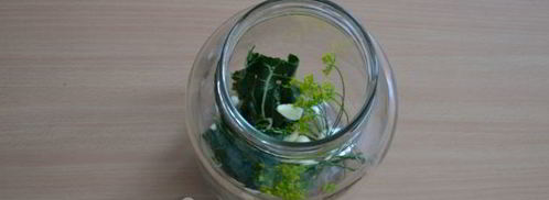 классические малосольные огурцы. Шаг 8