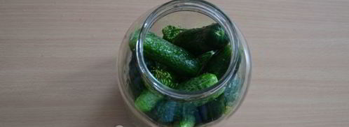 классические малосольные огурцы. Шаг 9