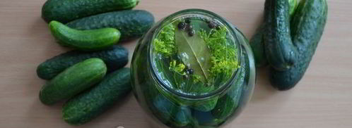 классические малосольные огурцы. Шаг 11