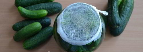 классические малосольные огурцы. Шаг 12