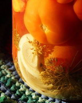 Малосольные помидоры с хреном