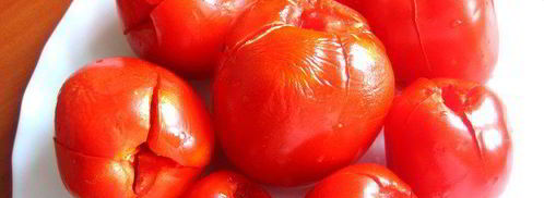 малосольные помидоры суточные. Шаг 5