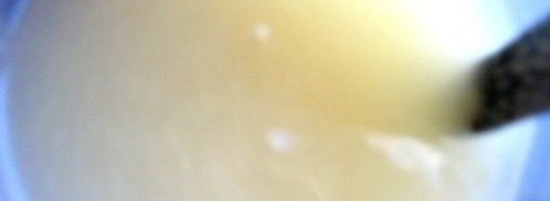 малосольные помидоры суточные. Шаг 9