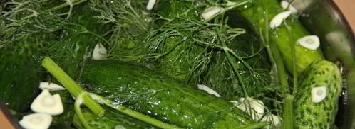 огурцы малосольные на минеральной воде. Шаг 5