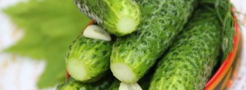 огурцы малосольные на минеральной воде. Шаг 7