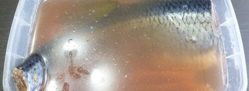 сельдь домашнего посола. Шаг 6