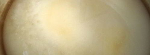 апельсиновые цукаты в сиропе. Шаг 5