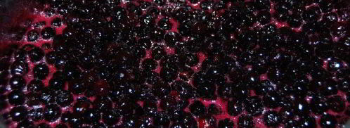 варенье из черноплодки на зиму. Шаг 2