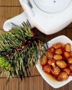 Варенье из еловых шишек