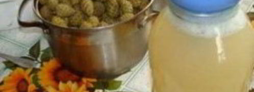 варенье из еловых шишек. Шаг 2