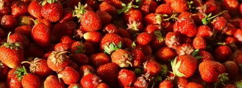 варенье из клубники с цельными ягодами на зиму. Шаг 3