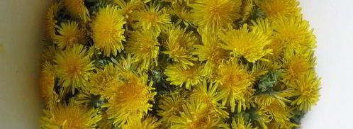 варенье из одуванчиков. Шаг 2