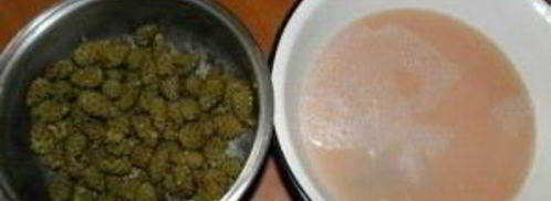 варенье из сосновой шишки. Шаг 2