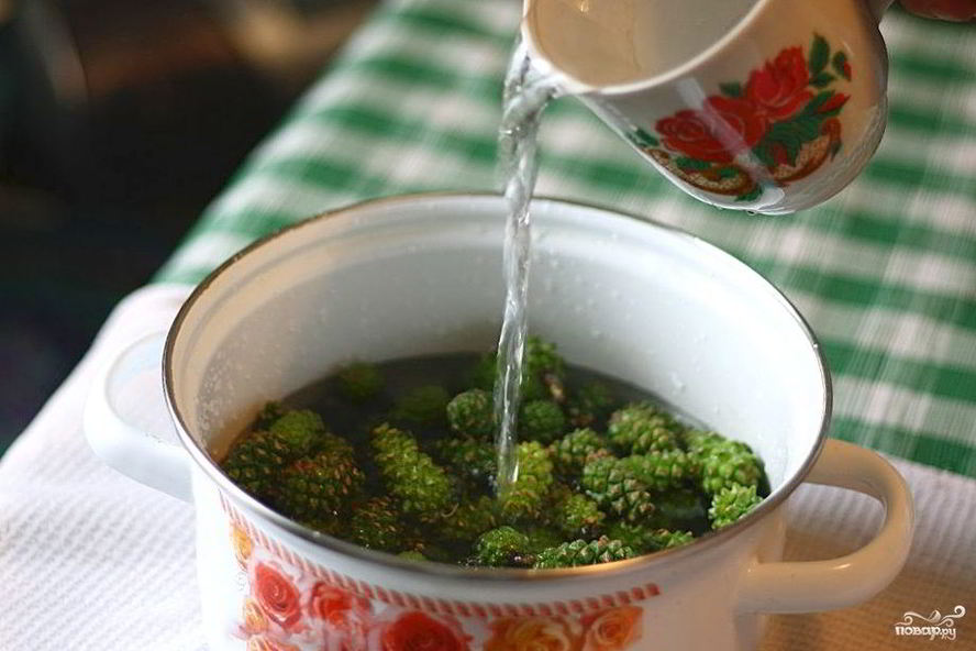 Рецепт варенья из сосновых почек