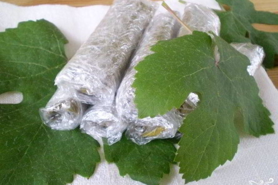 Рецепт виноградных листьев на зиму