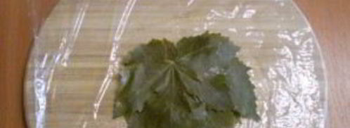 виноградные листья на зиму. Шаг 5