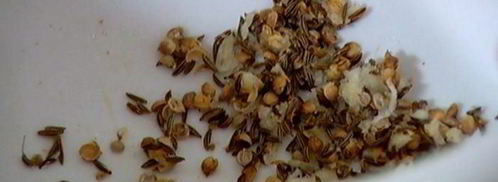 нутбургеры. Шаг 6