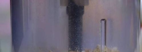 овощные бургеры с чечевицей, грибами и курагой. Шаг 6