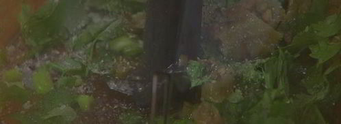 рыбный гамбургер с манго-майонезом. Шаг 4