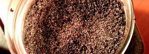 просто бутерброды с рыбой. Шаг 6