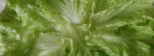 эстонский бутерброд. Шаг 5