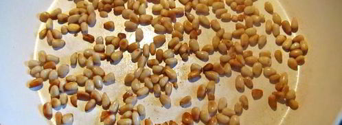 фаршированные помидоры вкусная парочка. Шаг 3