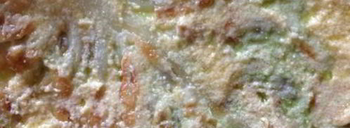 капустный наполеон с кремом из пармезана. Шаг 6