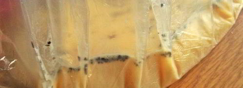 омлет из пакета. Шаг 6